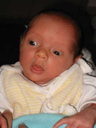 130-3082_IMG.JPG