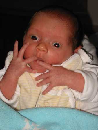130-3084_IMG.JPG