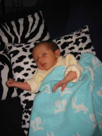 130-3090_IMG.JPG