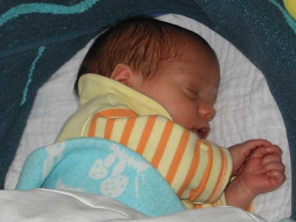 131-3105_IMG.JPG