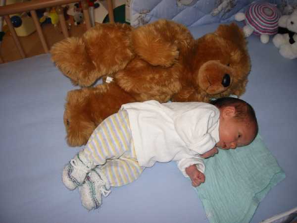 131-3115_IMG.JPG