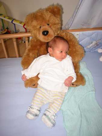 131-3117_IMG.JPG