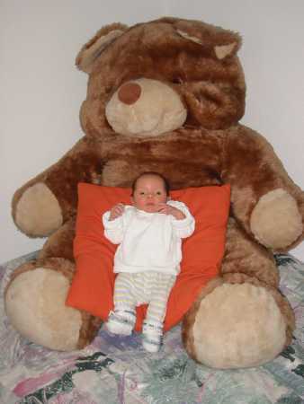 131-3121_IMG.JPG