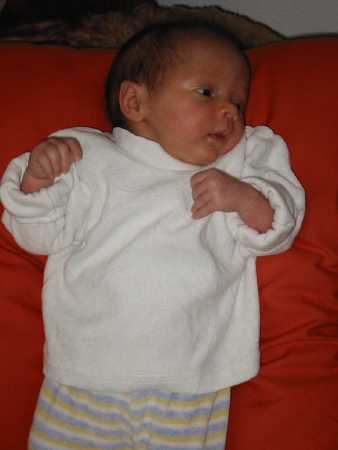 131-3124_IMG.JPG