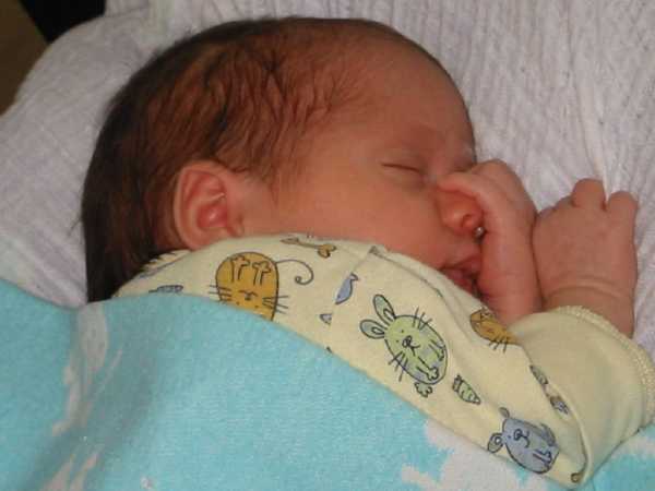 131-3131_IMG.JPG