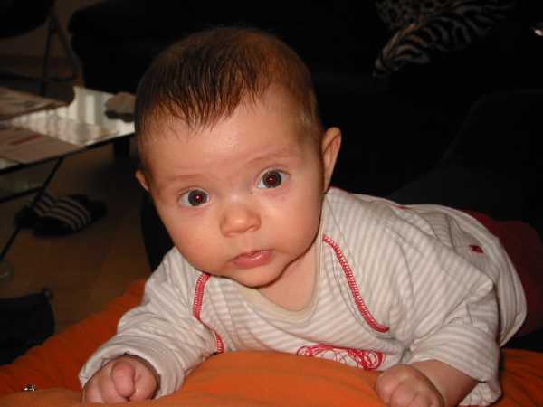 134-3433_IMG.JPG